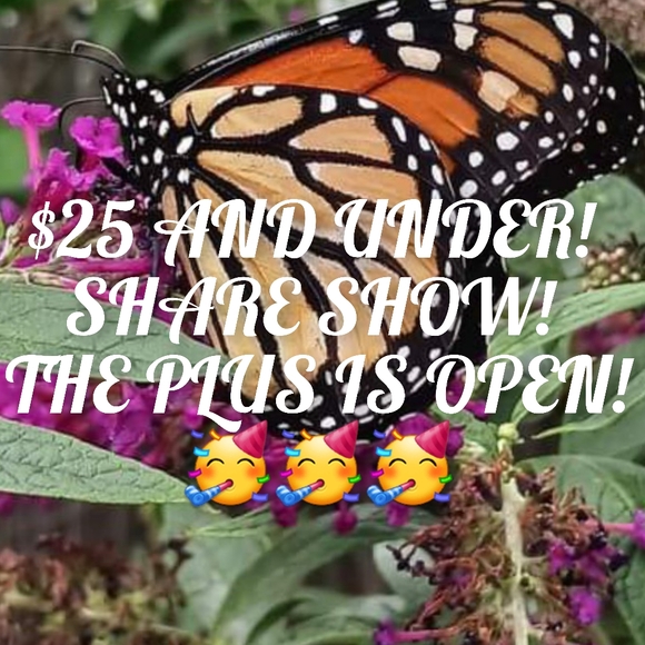 🚨Vionroselopez is Live!🚨 Share Show! Send 2 To The Blue! 🚨🥳🎉👜👟👕💰🚨 - Picture 6 of 8